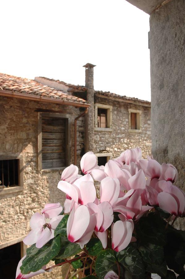 Albergo Diffuso Valcellina E Val Vajont In Erto Ngoại thất bức ảnh